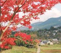 紅葉と俵山