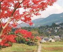 紅葉と俵山