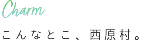 こんなとこ、西原村