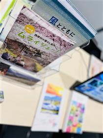 配布したパンフレット等⓶
