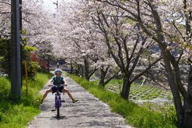 自転車で春満喫