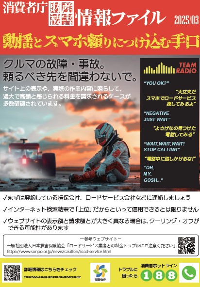 消費者庁財産被害情報ファイル202503の画像
