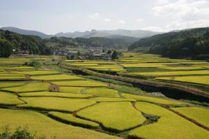 田園風景