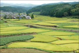 宮山の千枚田