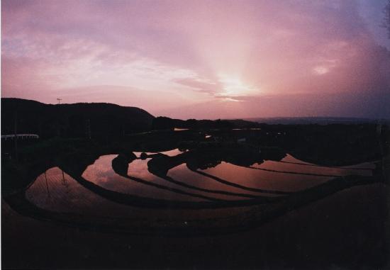 棚田夕景