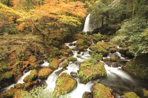 紅葉の白糸の滝