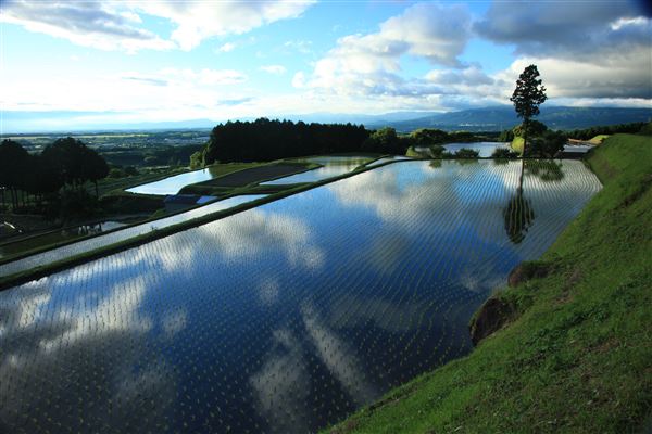 天空の棚田