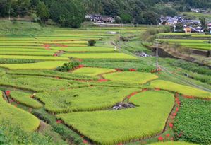 棚田のある村