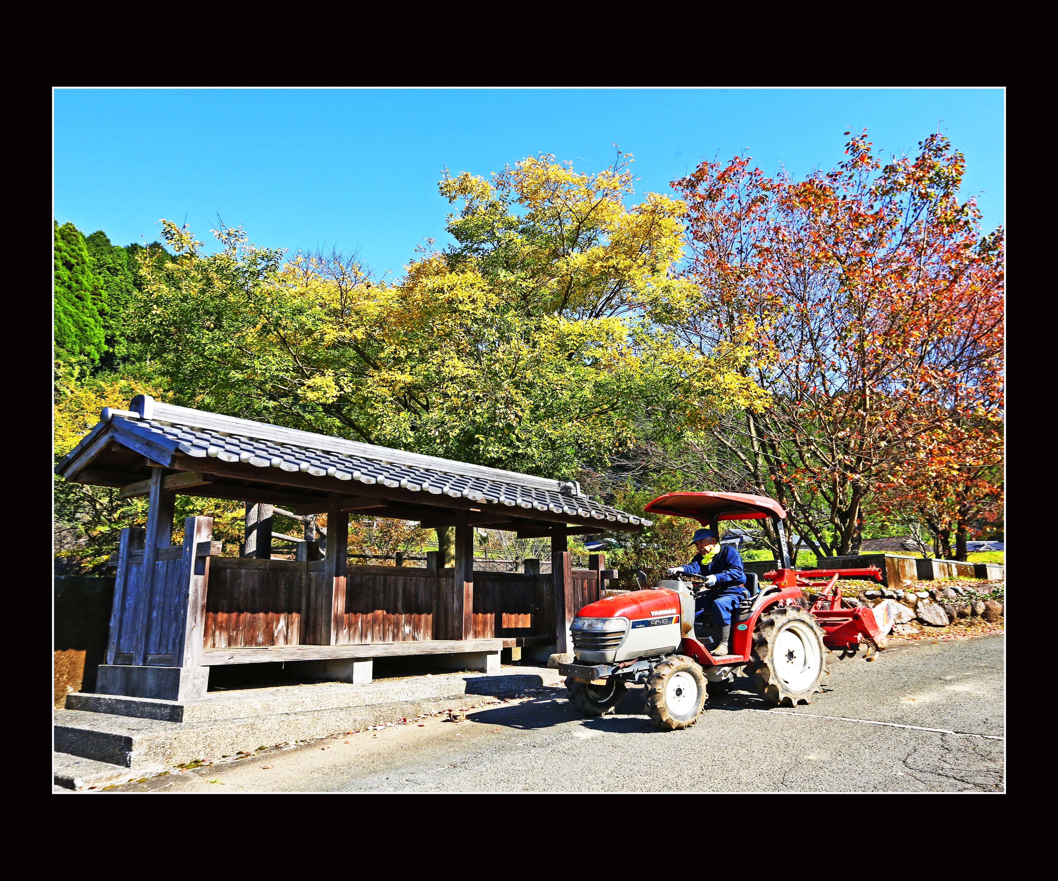 畑帰り（林田豊）.JPG