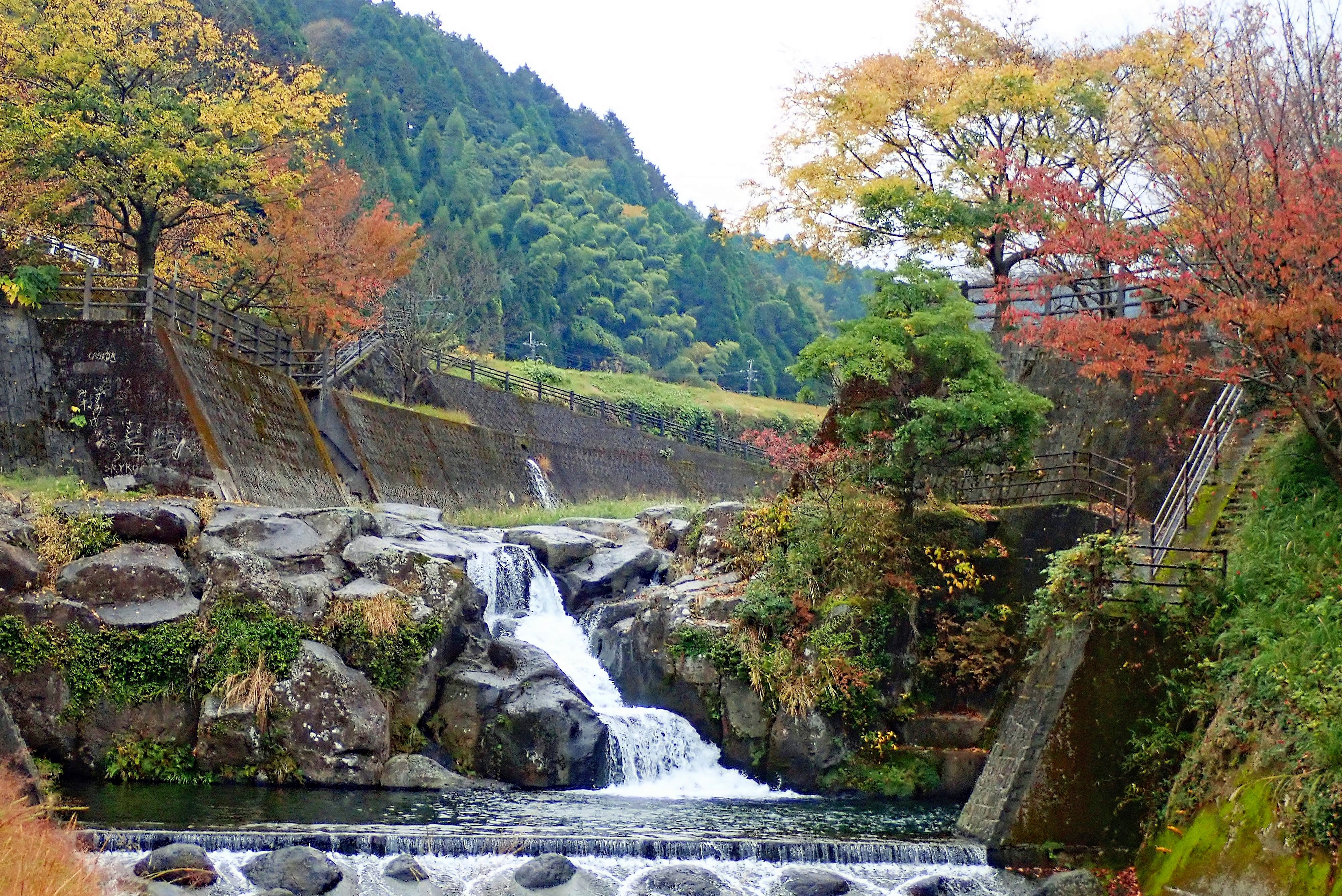 【準特選】秋色の風景（吉本光男）.jpg