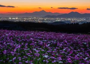 入選_「夕暮れ」_河本ふみえ.jpg