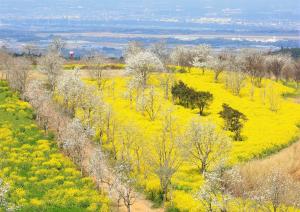 入選_「春景」_河本泉.jpg