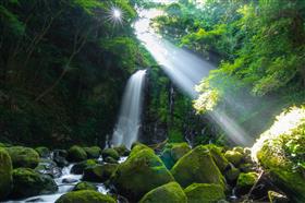 入選_水の滝・光の滝