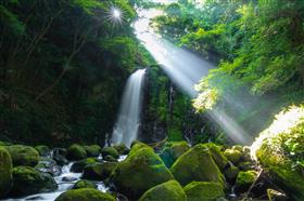 入選＿水の滝・光の滝